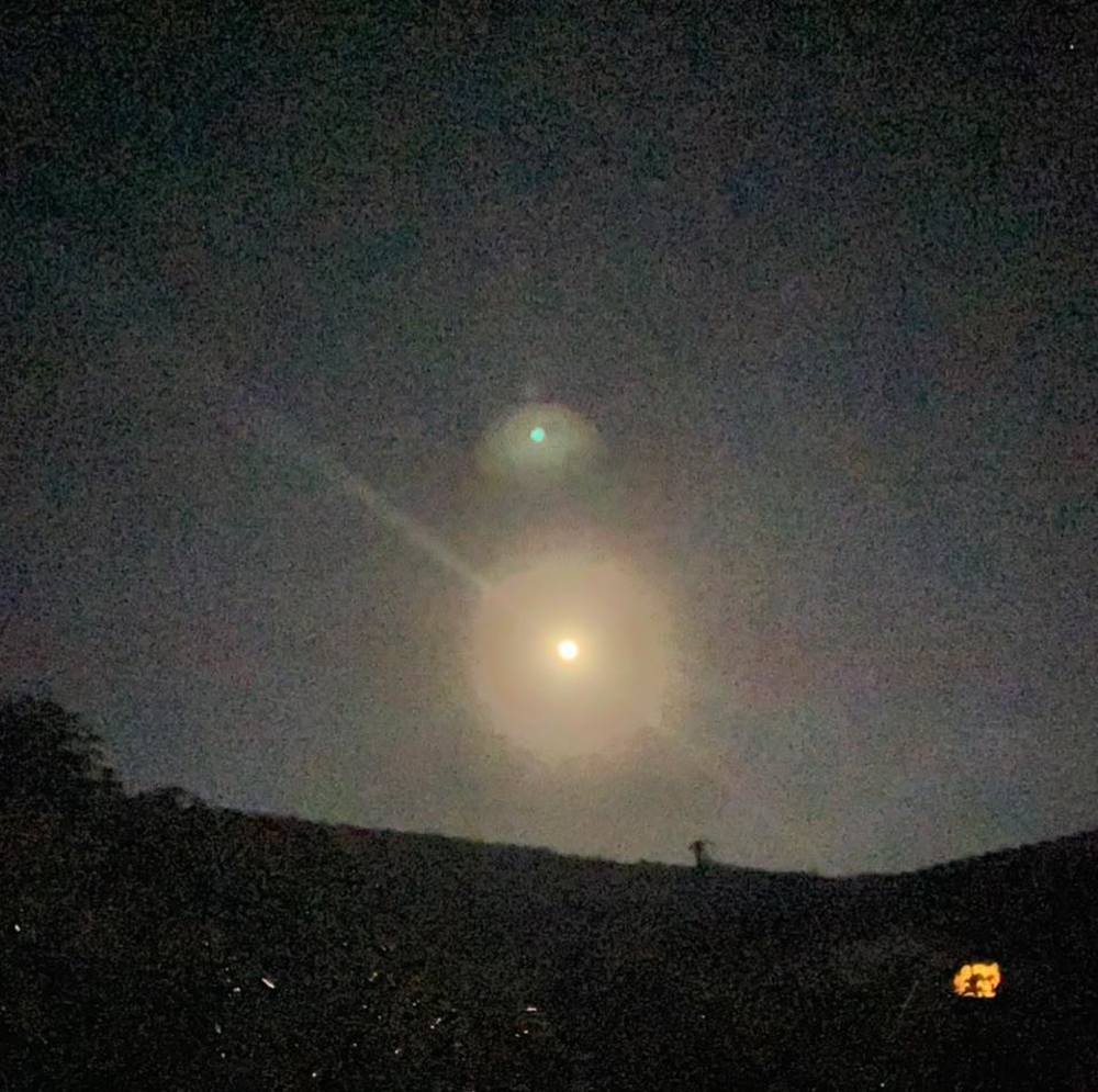 Meet your Posher, Noah